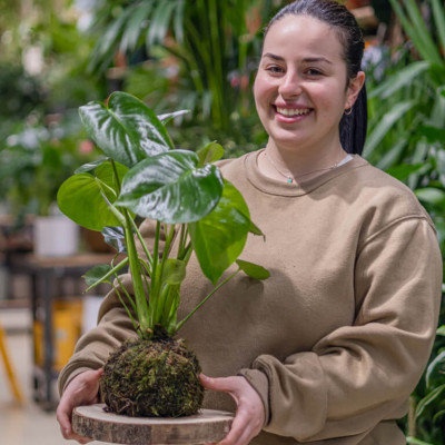 Comprar Kokedama monstera Barcelona