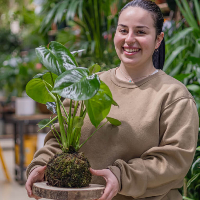 Comprar Kokedama monstera Barcelona Comprar Kokedama monstera Barcelona