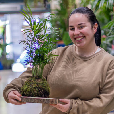 Comprar Kokedama Chamadorea Barcelona