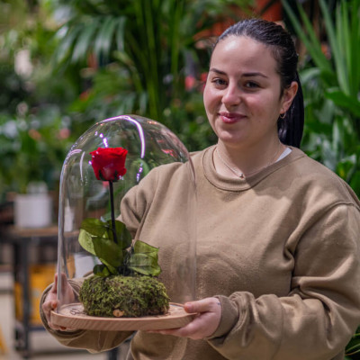Comprar Cúpula de vidre amb rosa liofilitzada en kokedama Barcelona