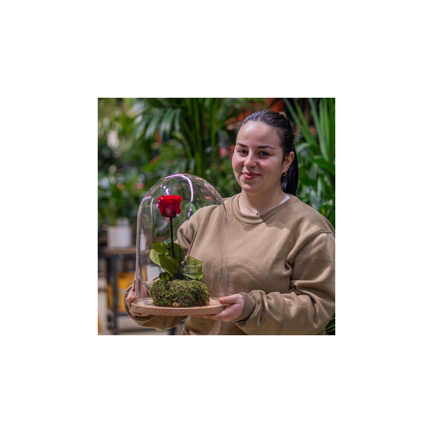 Comprar Cúpula de cristal con rosa liofilitzada en kokedama Barcelona