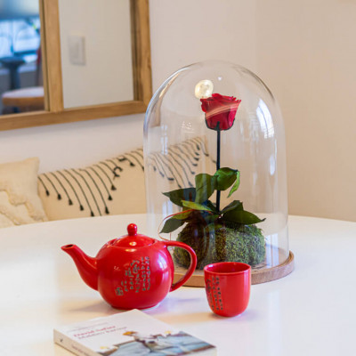 Comprar Cúpula de cristal con rosa liofilitzada en kokedama Barcelona