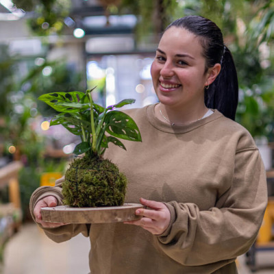 Comprar Kokedama Andsansonii Barcelona