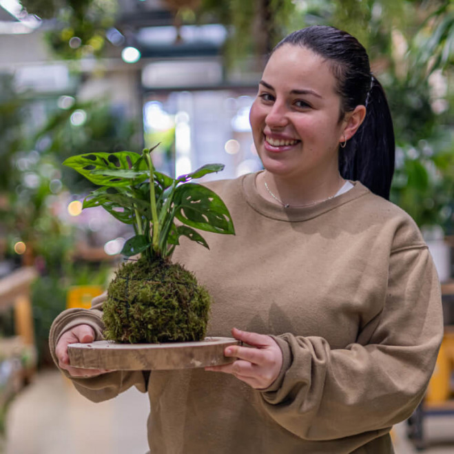 Comprar Kokedama Andsansonii Barcelona Comprar Kokedama Andsansonii Barcelona