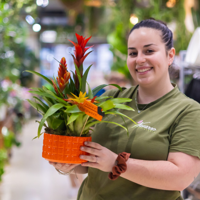Comprar Composición de bromelias en cerámica Barcelona