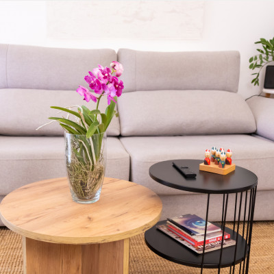 Comprar Wanda en gerro de vidre Barcelona