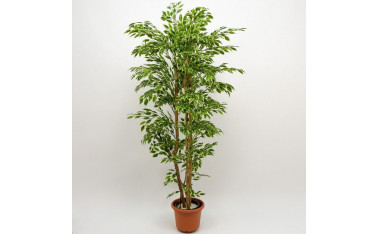 Plantas artificiales