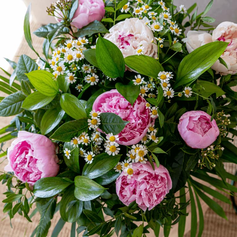 peonies de rams rams de peonies