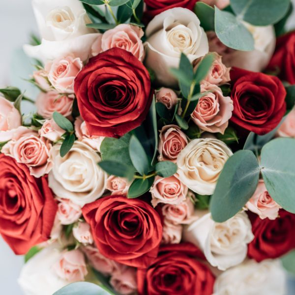 roses roses i vermelles rams de roses
