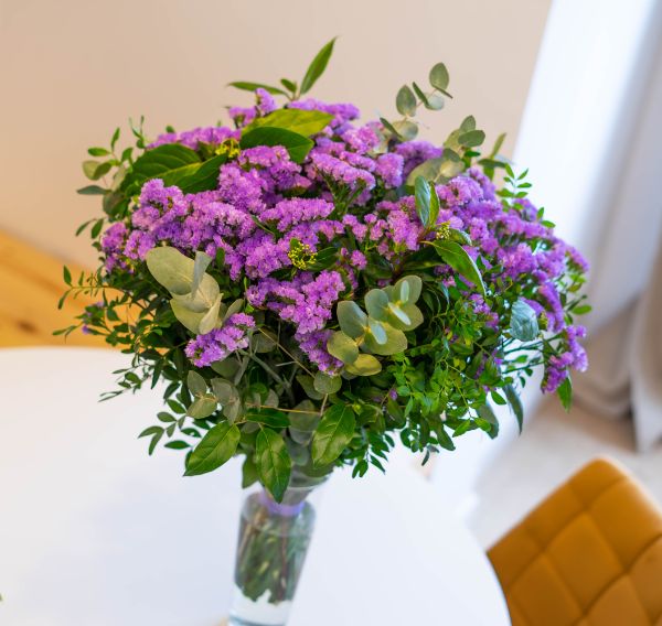 Statice morado 8 M Statice lila