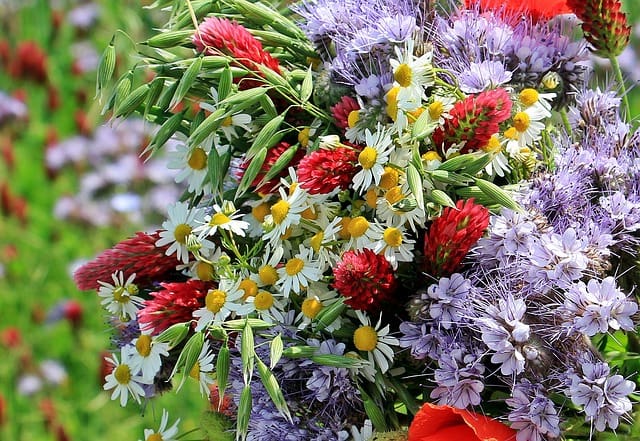 ramo de flores silvestres flores de campo en ramo