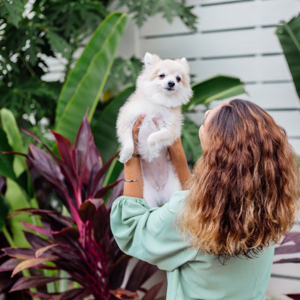 Perro alzado con plantas exterior