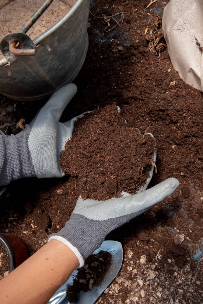 tierra para plantas