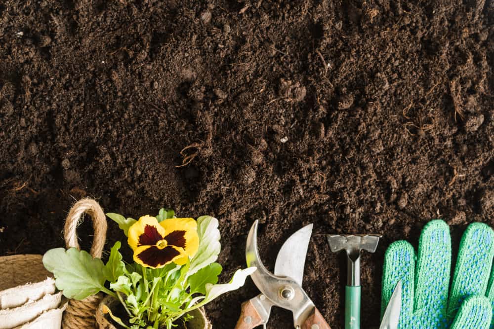 jardineria para principiantes