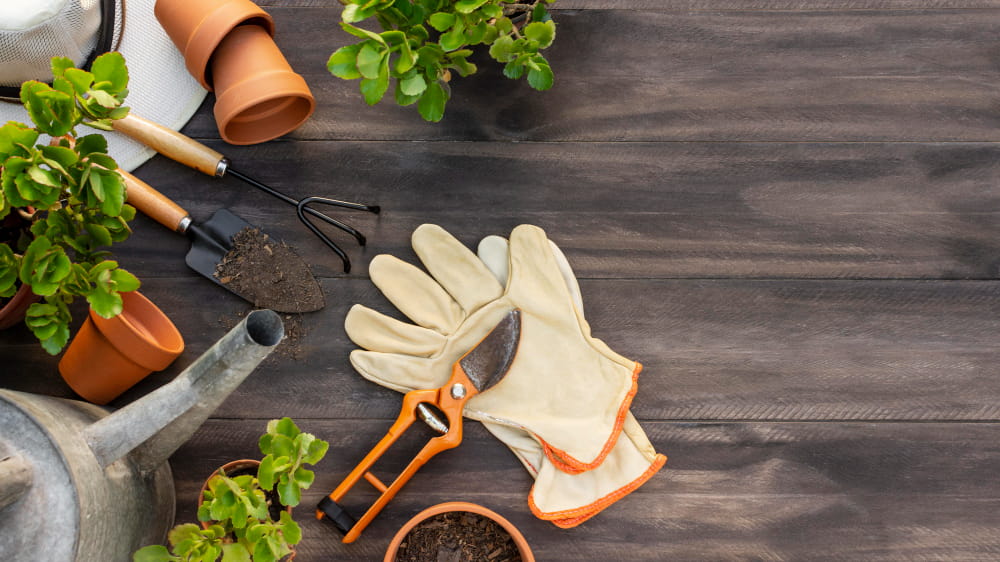 herramientas basicas para jardineria
