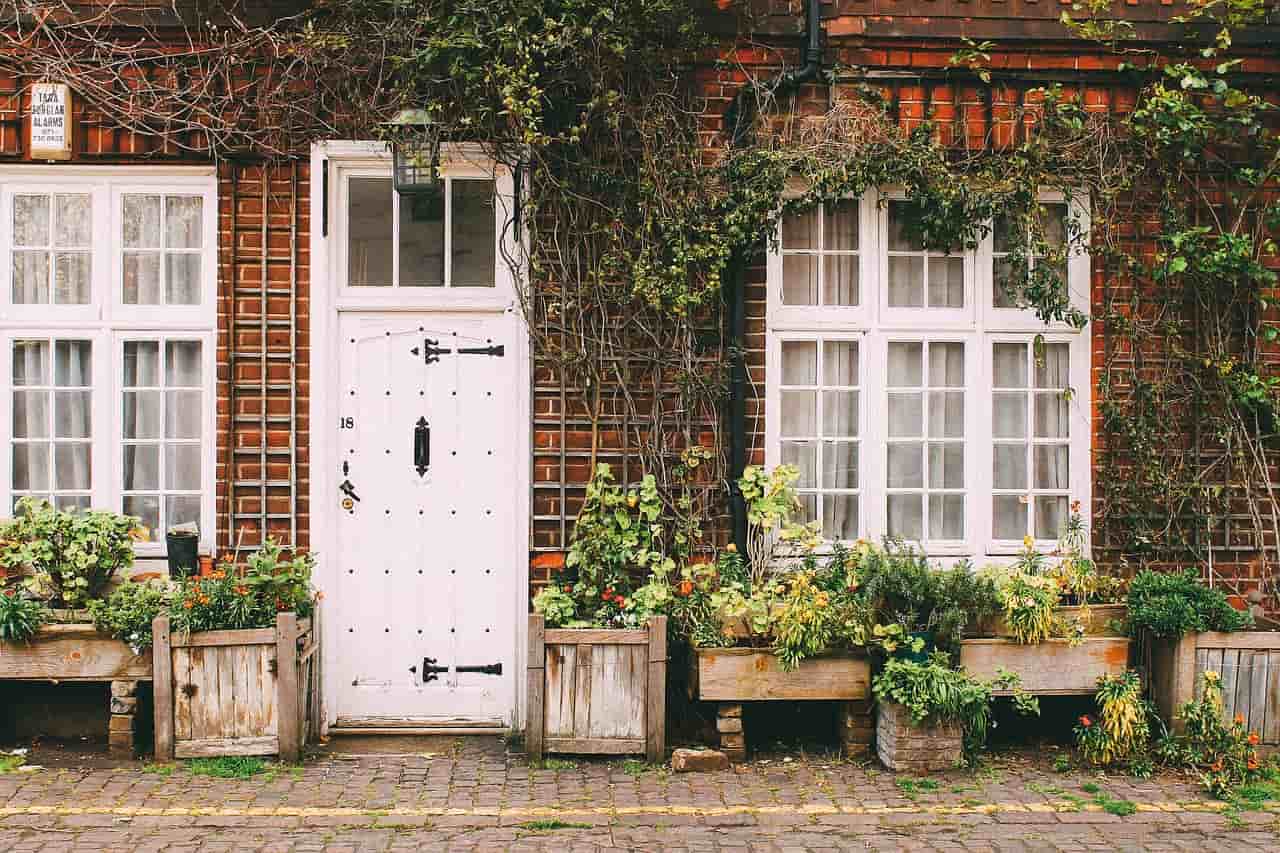 plantas de exterior resistentes al clima