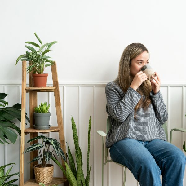 plantes que milloren l'ánim plantas que nos dan animo