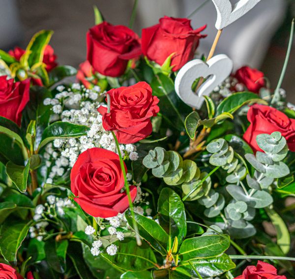 Rosas San Valentin San valentin