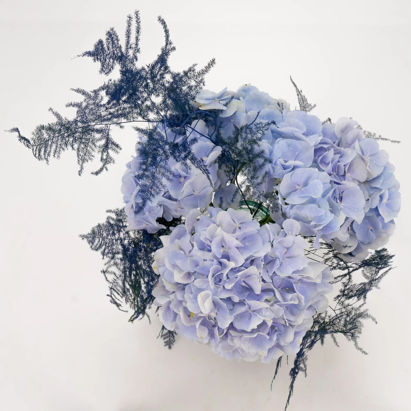 hortensias navideñas hortensias para ramo navideño