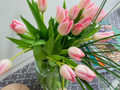 Cinco de las flores más bonitas del mundo