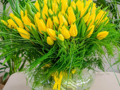 Tulipán: la flor más bonita de Marzo