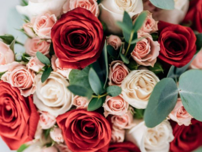 Rosa: la flor del mes de juny 