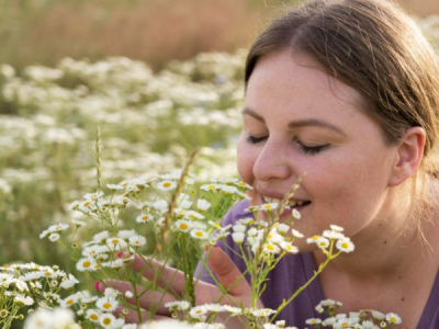 Les millors flors aromàtiques per al teu jardí