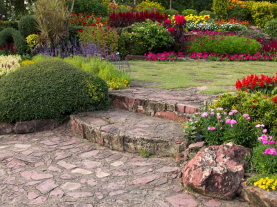 Plantes resistents al sol