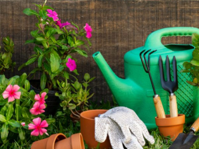 Guia de Jardineria per a Principiants