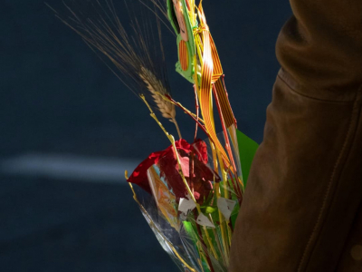 El significat de l'espiga en la Rosa de Sant Jordi.